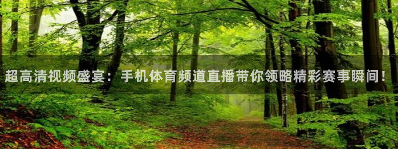 极速飞速体育直播吧体育直播：超高清视频盛宴：手机体育频道直播带你领略精彩赛事瞬间！
