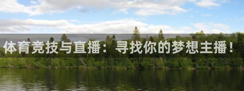 飞速体育直播免费观看
