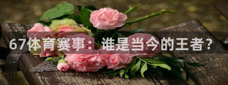 飞速直播nba直播