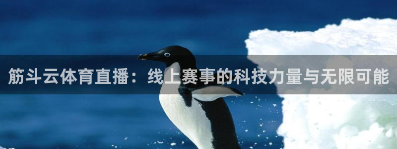nba飞速直播在线观看免费：筋斗云体育直播：线上赛事的科技力量与无限可能