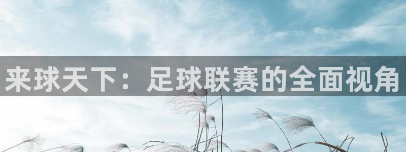 飞速体育直播在线观看：来球天下：足球联赛的全面视角