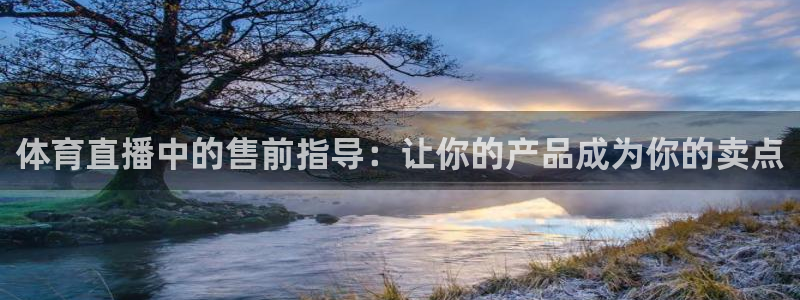 飞速看球直播：体育直播中的售前指导：让你的产品成为你的卖点